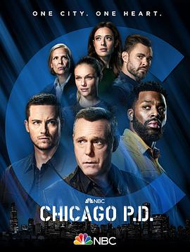 芝加哥警署第九季第22集